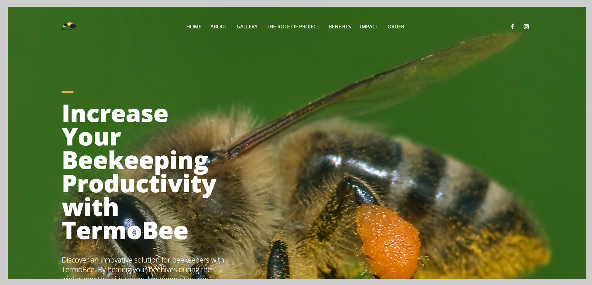 Termobee
